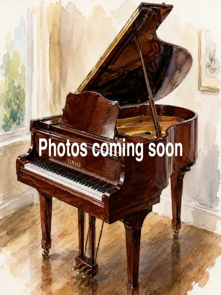 baby-mahogany.jpg