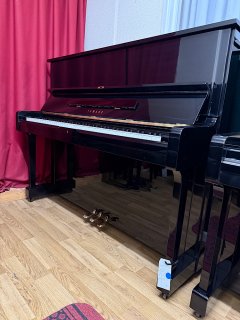 IMG_5788.jpeg