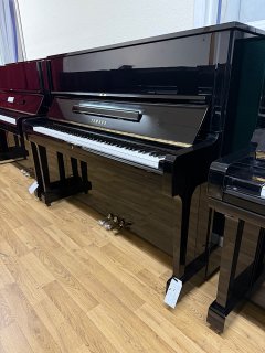 IMG_6813.jpeg