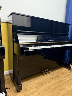 IMG_3879.jpeg