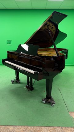 IMG_9426.jpeg