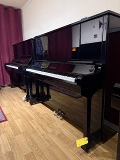 IMG_6624.jpeg