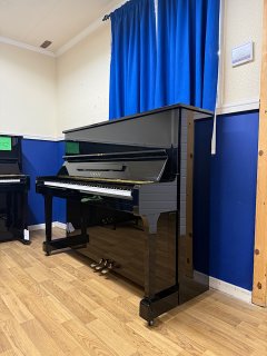 IMG_9528.jpeg