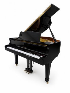 Yamaha, G1, full front and left side view with the lid open