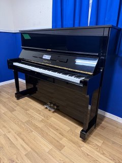 IMG_6582.jpeg