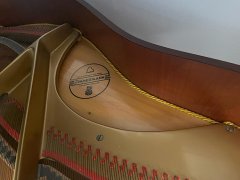 CD09C6D9-167C-43C9-8B76-774718F8306C.jpeg