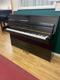 IMG_3251.jpeg