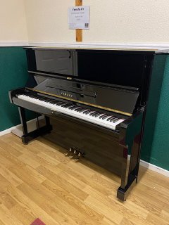 IMG_3811.jpeg