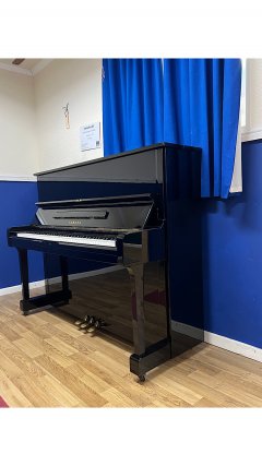 IMG_8284.jpeg