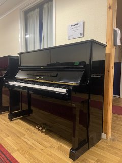 IMG_0219.jpeg