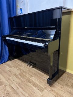 IMG_1135.jpeg