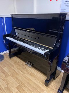IMG_8609.jpeg