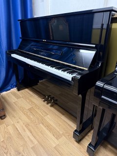 IMG_4795.jpeg