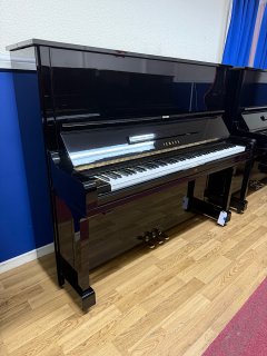 IMG_4987.jpeg