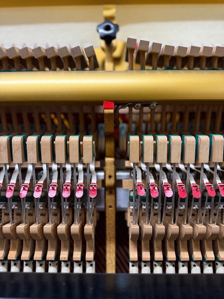 IMG_0338.jpeg