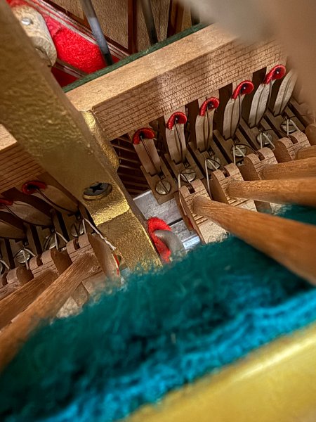 IMG_1631.jpeg