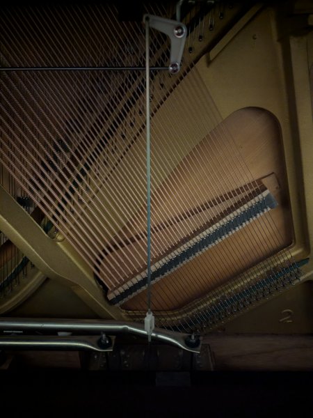 Yamaha, U3, soundboard, iron frame and strings inside piano