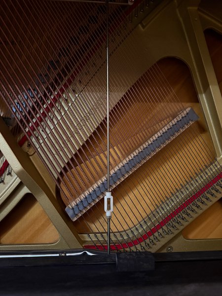 Yamaha, U30BL, 47629xx, soundboard, iron frame and strings inside the piano