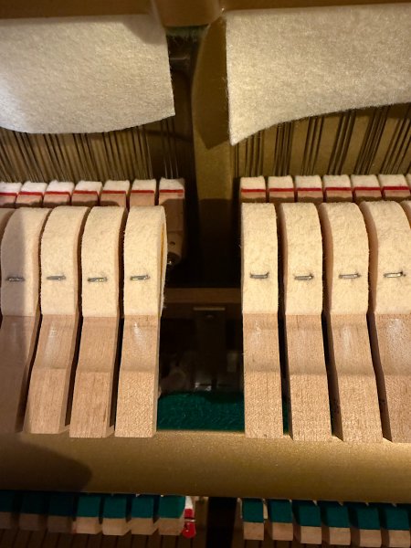Yamaha, U30BL, 47629xx, felt hammers close-up